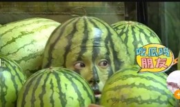 富富吃网红瓜,揭秘娱乐圈幕后故事