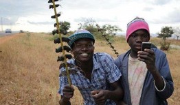 非洲网红吃瓜事件视频大全,视频大全揭秘网络热点的背后