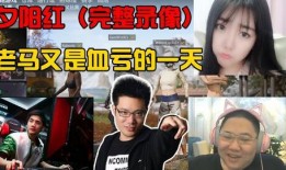 郭家庄爆料完整视频播放,揭秘事件背后真相